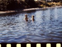 Becky amd Maria Swimming